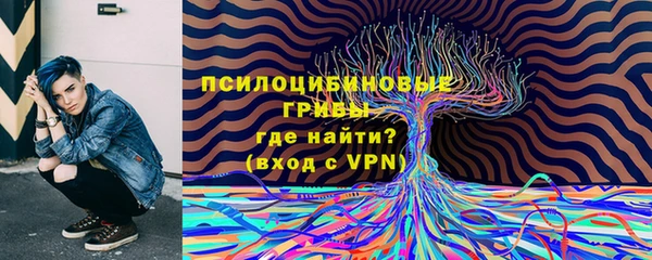 MDMA Premium VHQ Бронницы