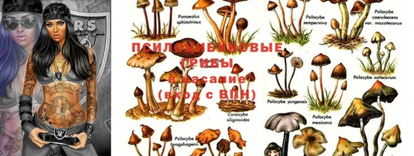 метадон Бородино