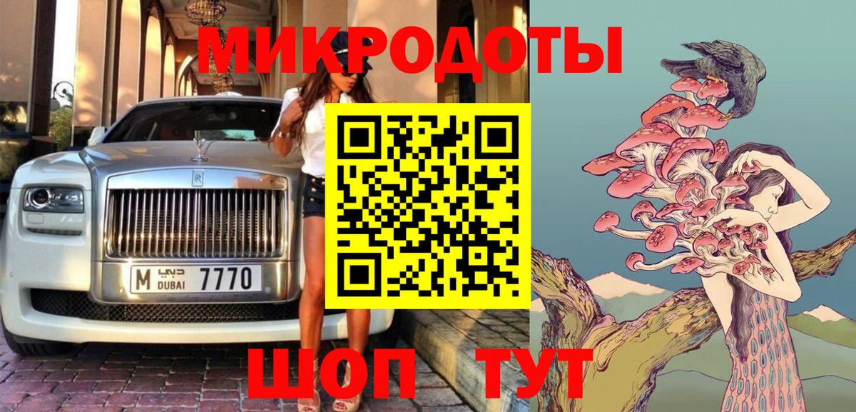 Галлюциногенные грибы Psilocybe  Вичуга 