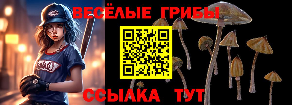 Вичуга  Галлюциногенные грибы Magic Shrooms  что такое   Вход с VPN 