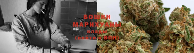 Бошки Шишки OG Kush  продажа наркотиков  Вичуга 